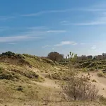 For 4 Near The